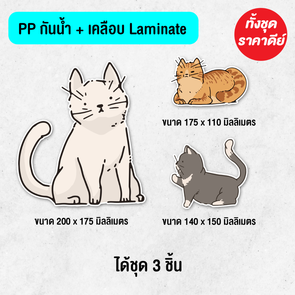 พร้อมส่ง - น้องแมว ติดรถ ติดประตู น่ารัก 3 ชิ้น กันน้ำ ทนแดด คุณภาพสูง สีสดชัด กันน้ำ ทนแดด PVC เคลือบ