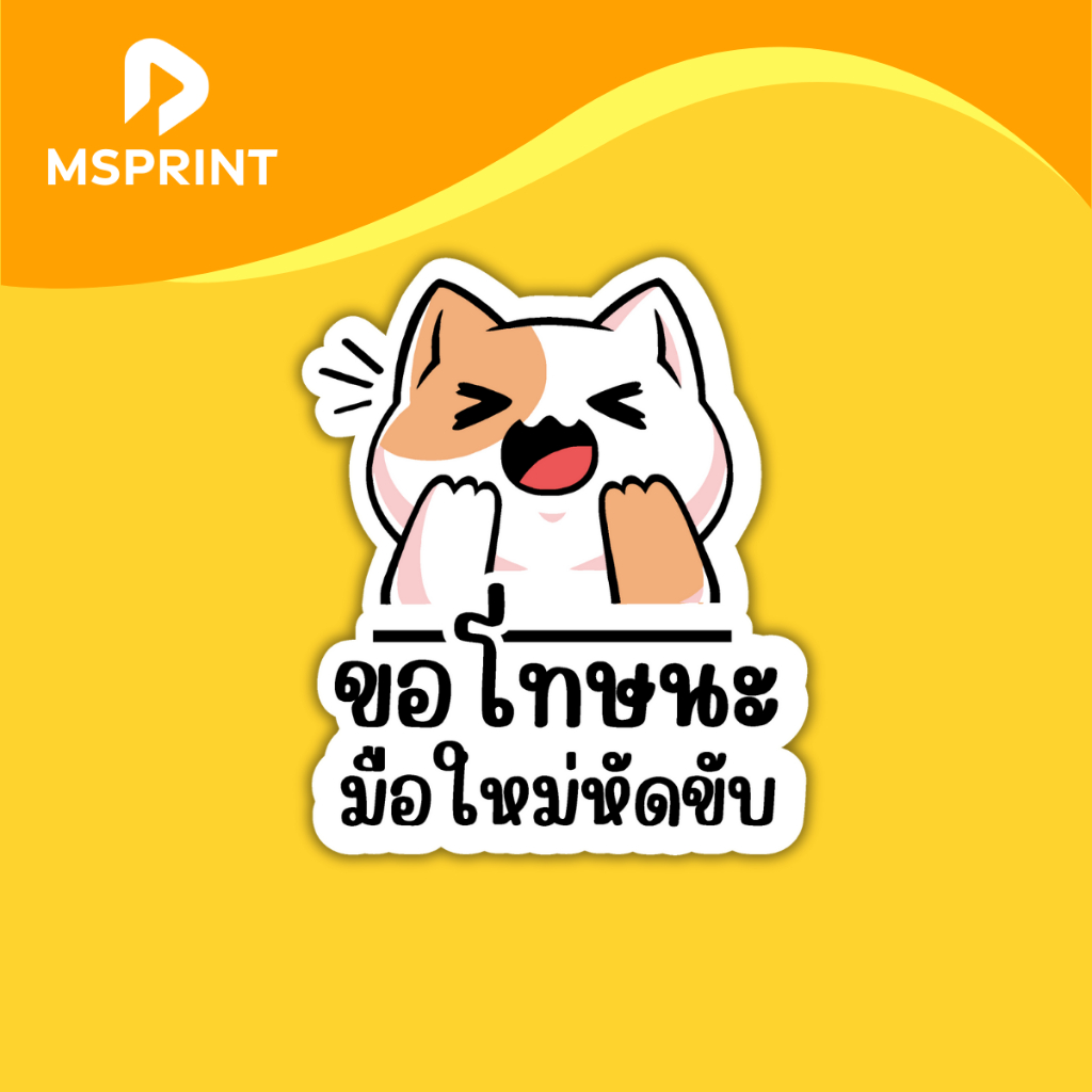 สติ๊กเกอร์ติดรถ ขอโทษนะ มือใหม่หัดขับ แมวตกใจ สติ๊กเกอร์ติดรถ เคลือบกันถลอก PVC กันน้ำ ทนแดด