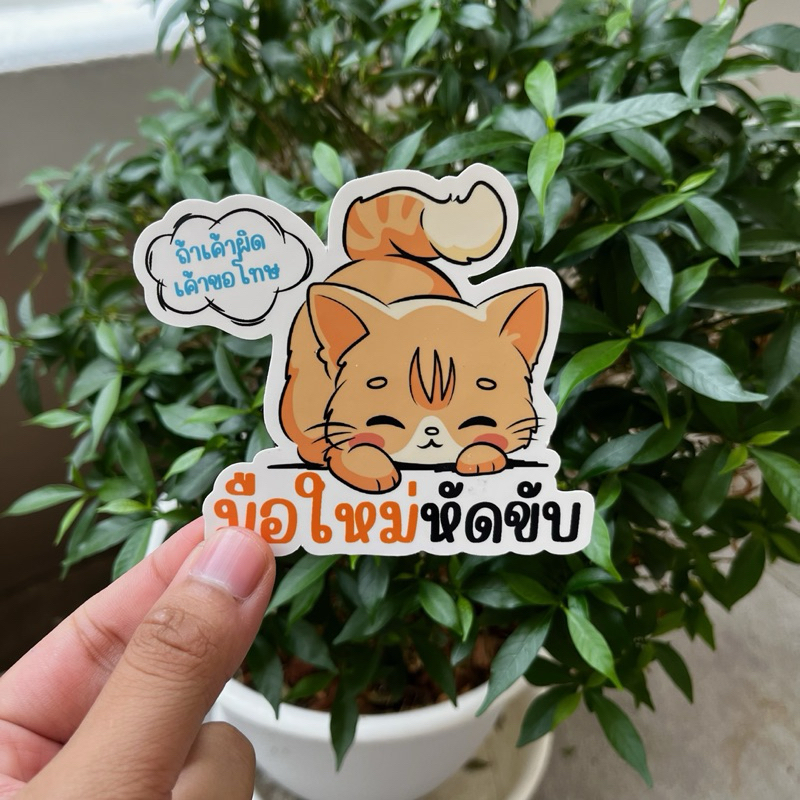 สติกเกอร์มือใหม่หัดขับ และ "ขอโทษน้าแซง ขวาได้เลย " สติกเกอร์ติดรถ น้องแมว PVC กันน้ำ ลอกไม่เป็นคราบ