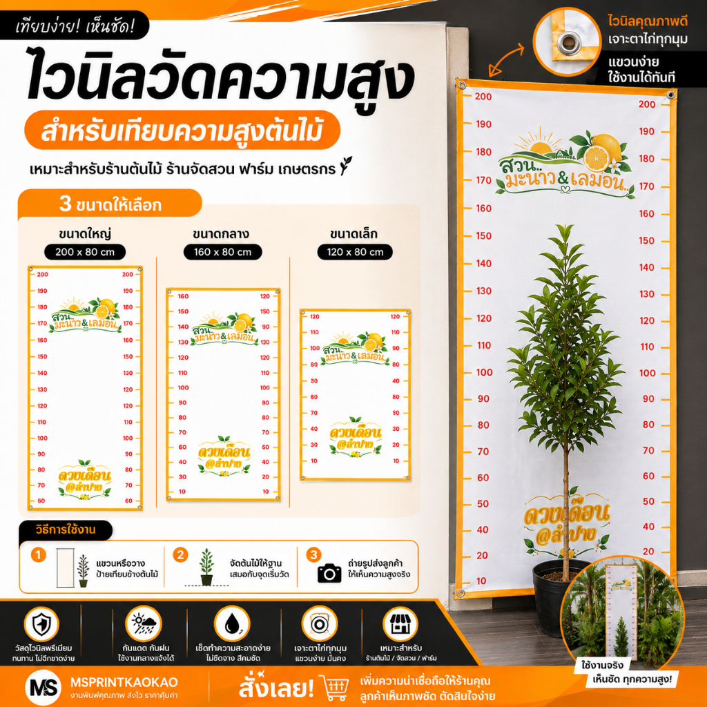 ป้ายวัดความสูงต้นไม้ ไวนิลเจาะตาไก่ 4 มุม ป้ายเทียบความสูงต้นไม้ ร้านต้นไม้ สวน ฟาร์ม ถ่ายรูปขายออนไลน์